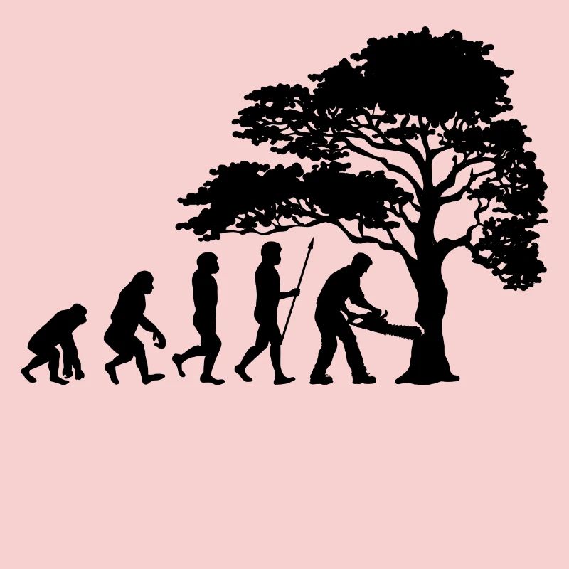 Lumberjack Tree Evolution Saw Sawdust