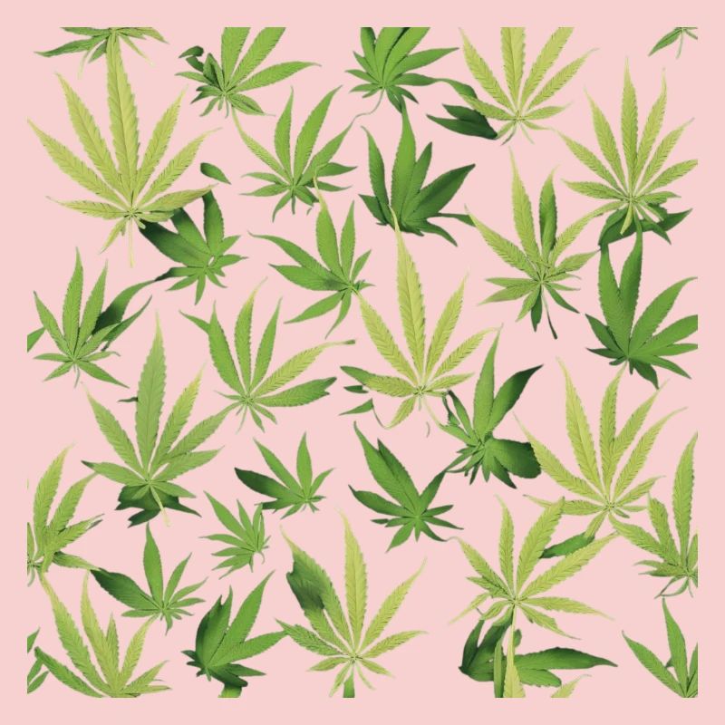 Cannabis 2