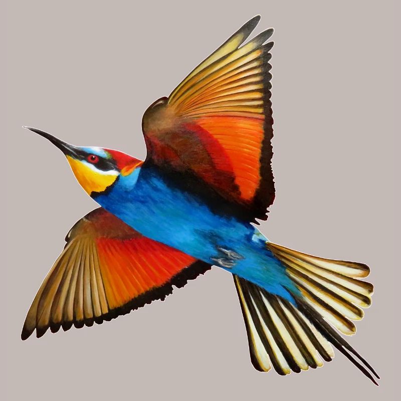 Guêpier Oiseau