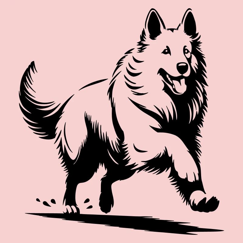 Schweizer Schäferhund