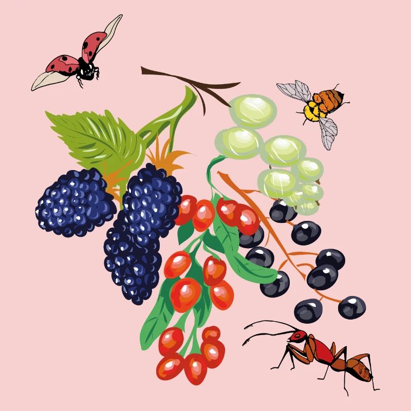 Fruit with insects