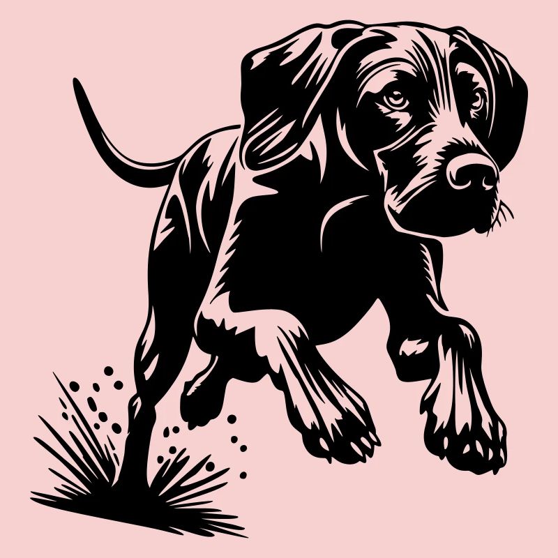 Magyar Vizsla
