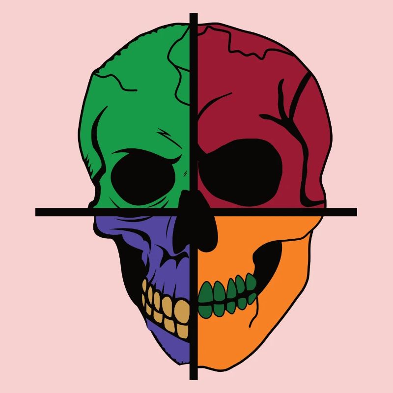 Four Divided Skeletal Skulls