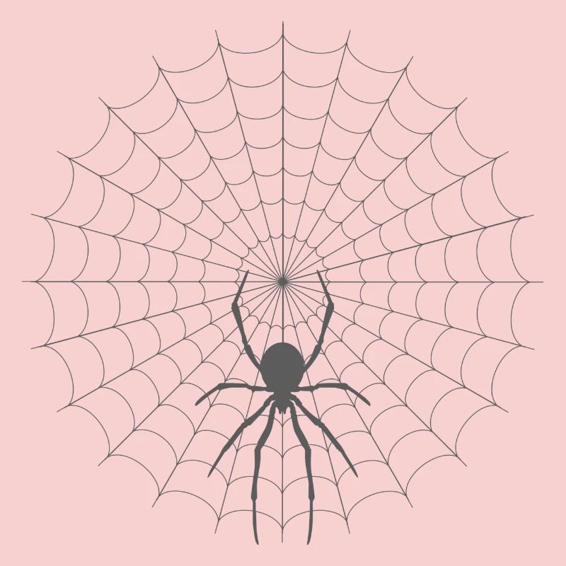 Spider Web Silhouette