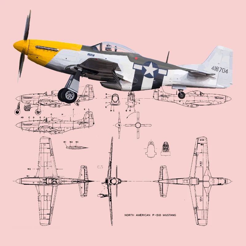 P-51