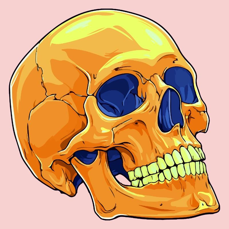 Skull