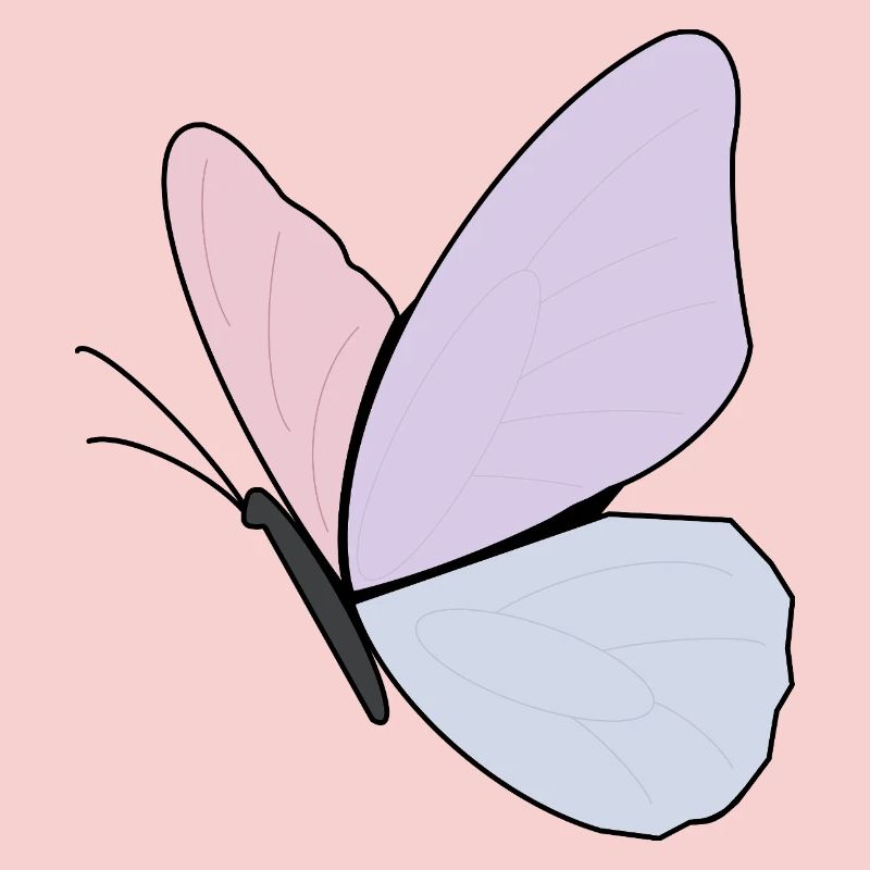 Conception de papillon pastel