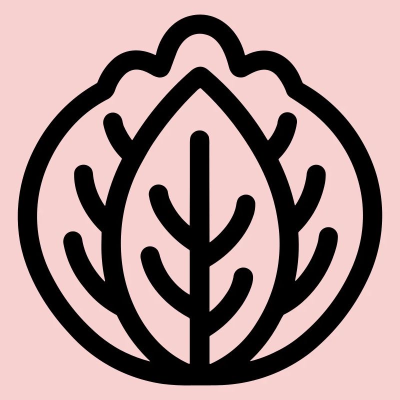 cabbage