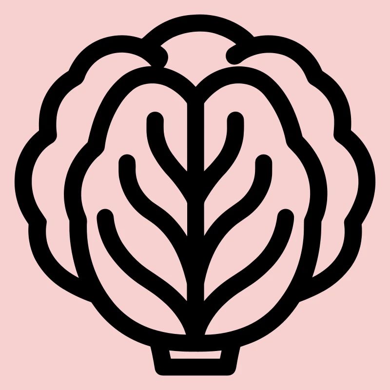 cabbage