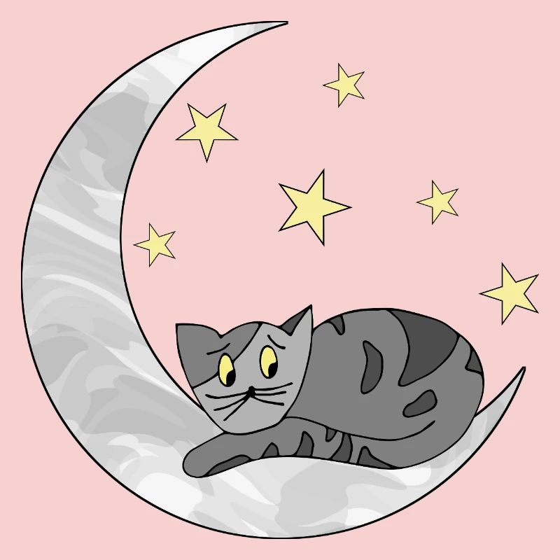 chat