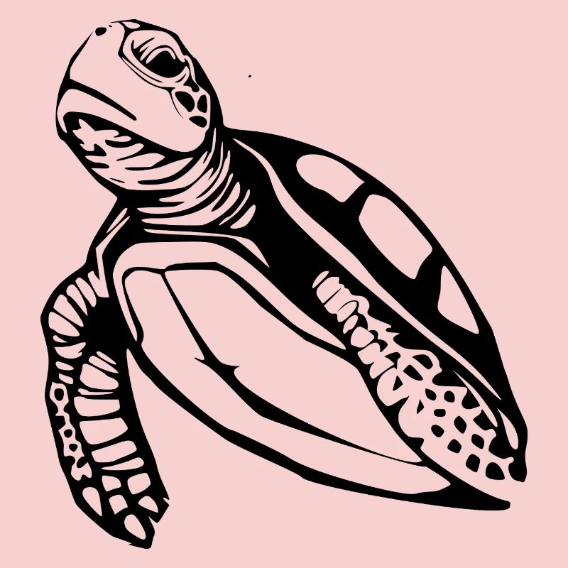 Turtle Turtles