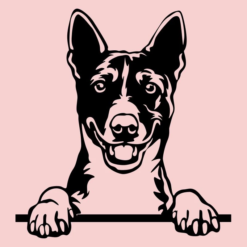 Chef Basenji
