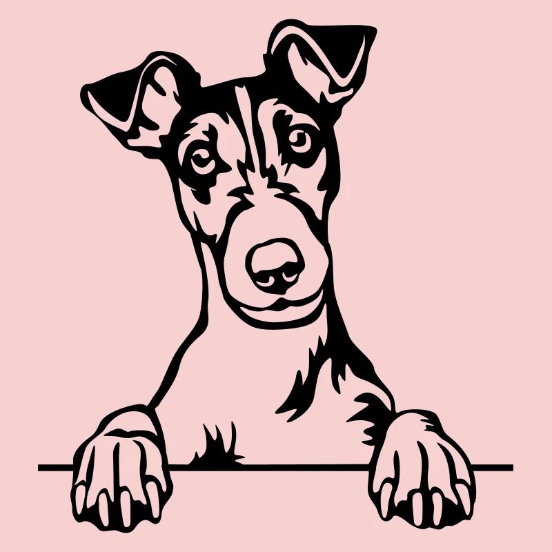 Fox Terrier Head