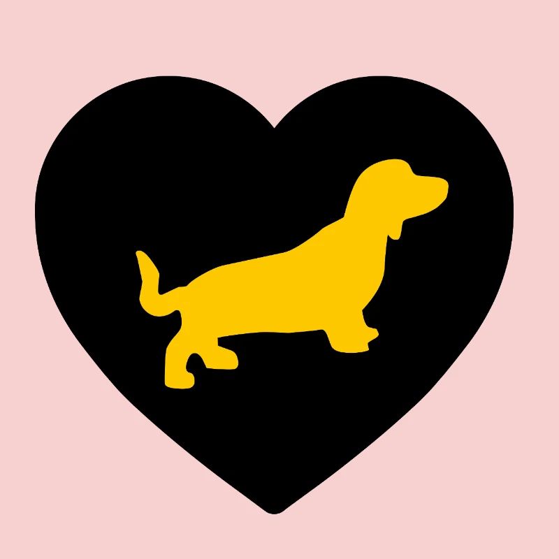 Dachshund