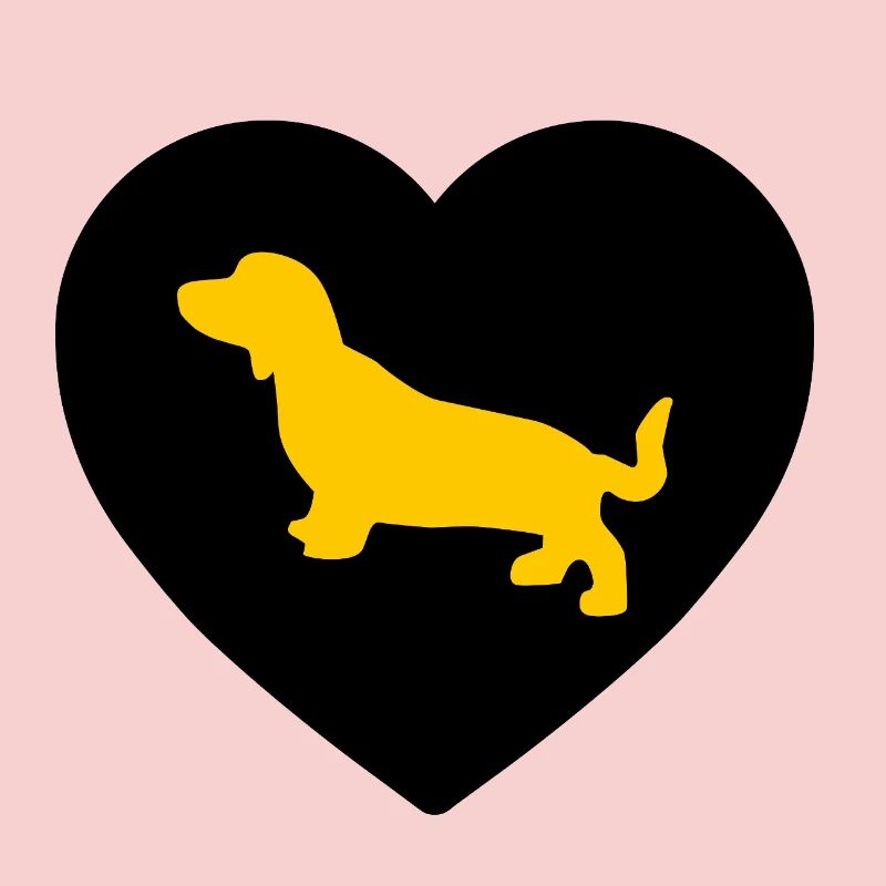 Dachshund
