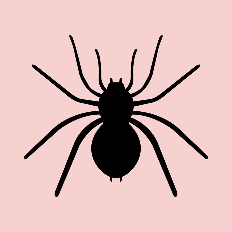 araignée