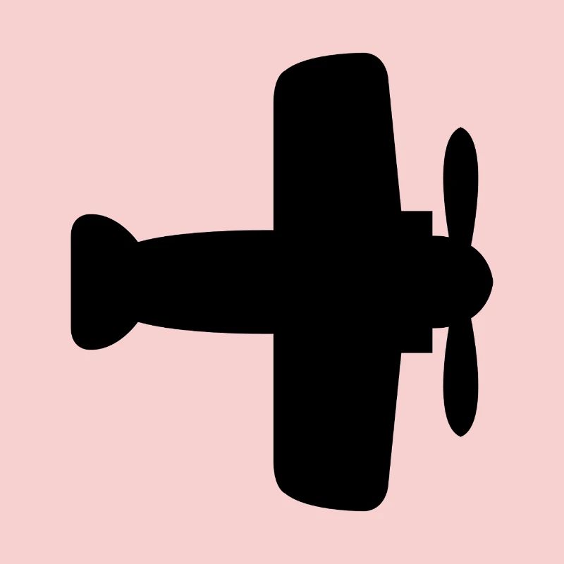 Plane