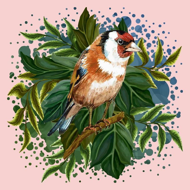 Colorful bird