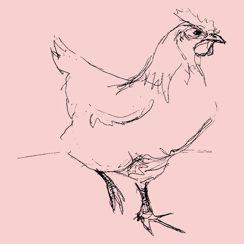 Huhn