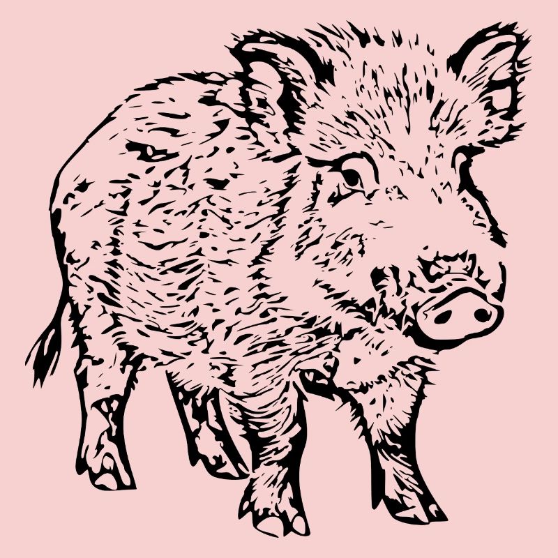 Wild boar