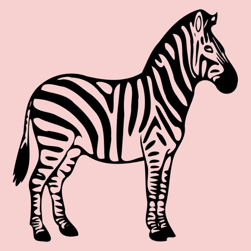 Zèbre 