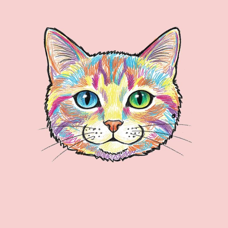 Motif d’animal coloré de chat