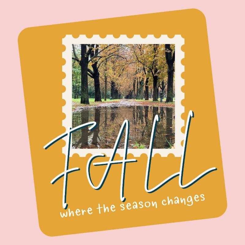 FALL Herbstpfade