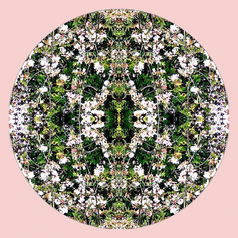 Source du Mandala de la Nature à Nuremberg