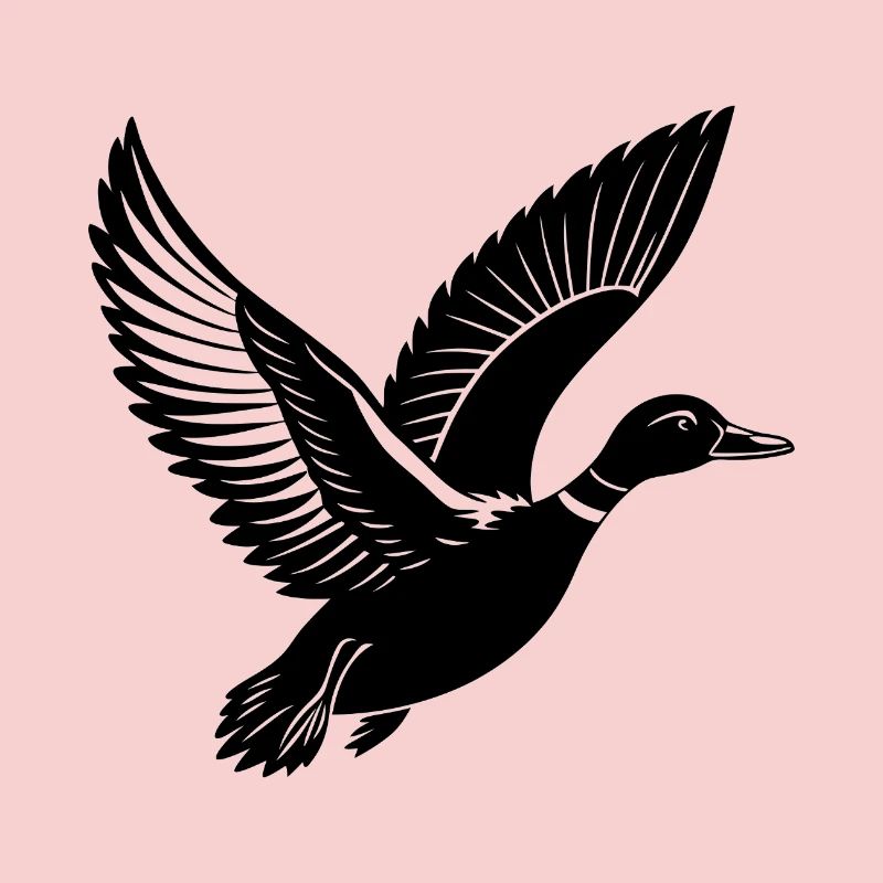 Canard colvert volant