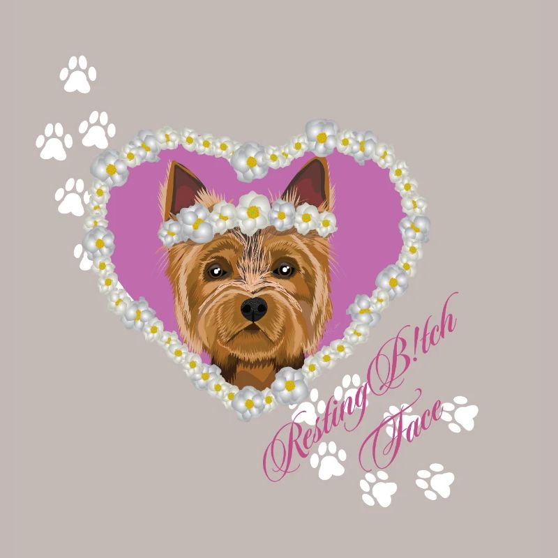 Resting B!tch Face Yorksire Terrier