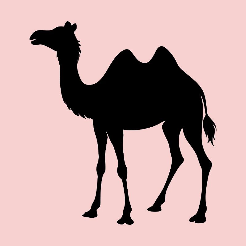 Kamel
