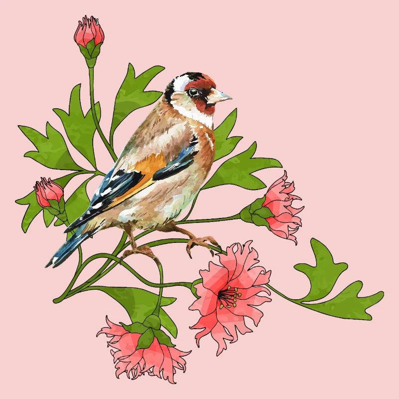 Oiseau coloré