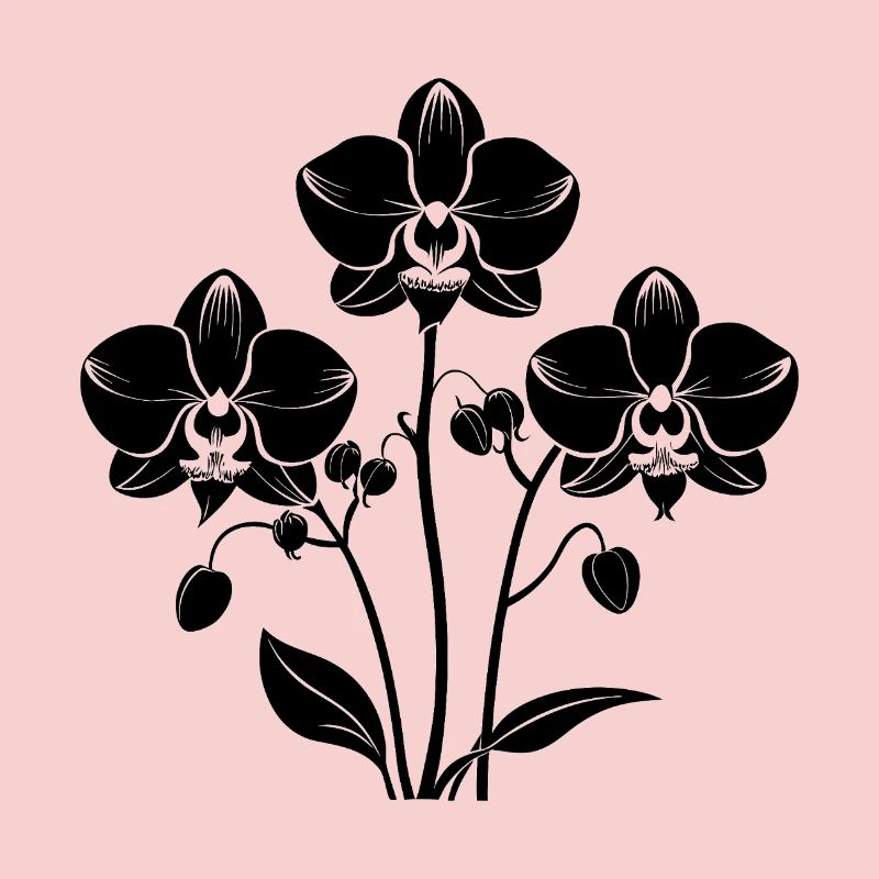 Orchids
