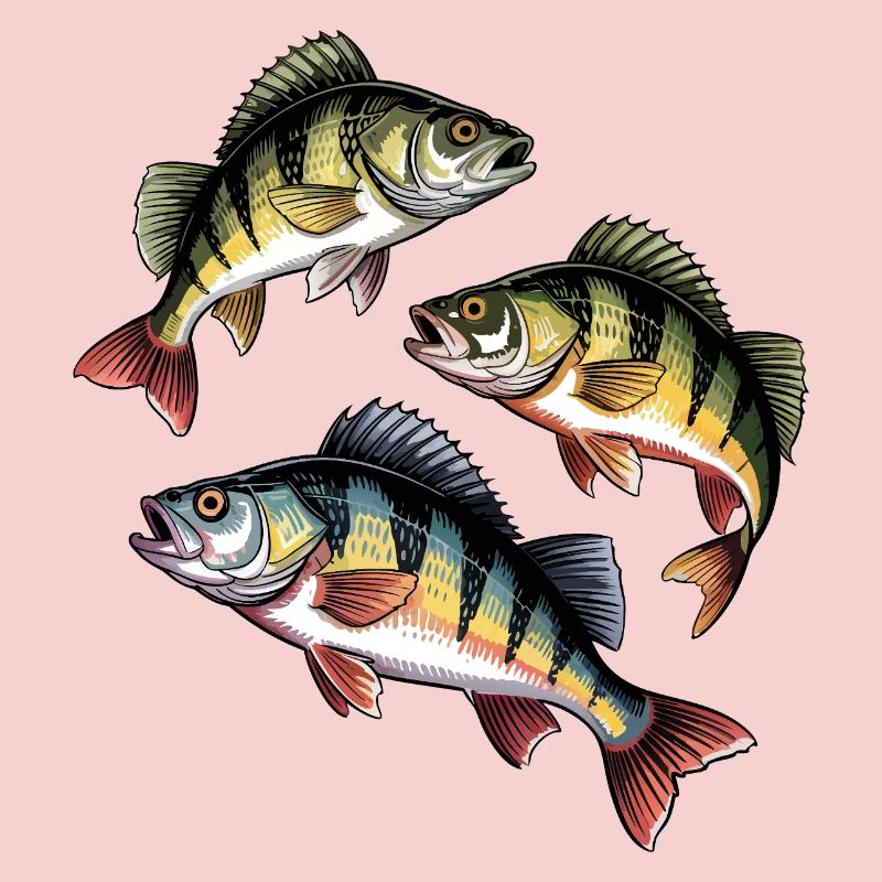 Pêche à la perche