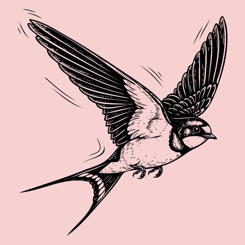 swallow