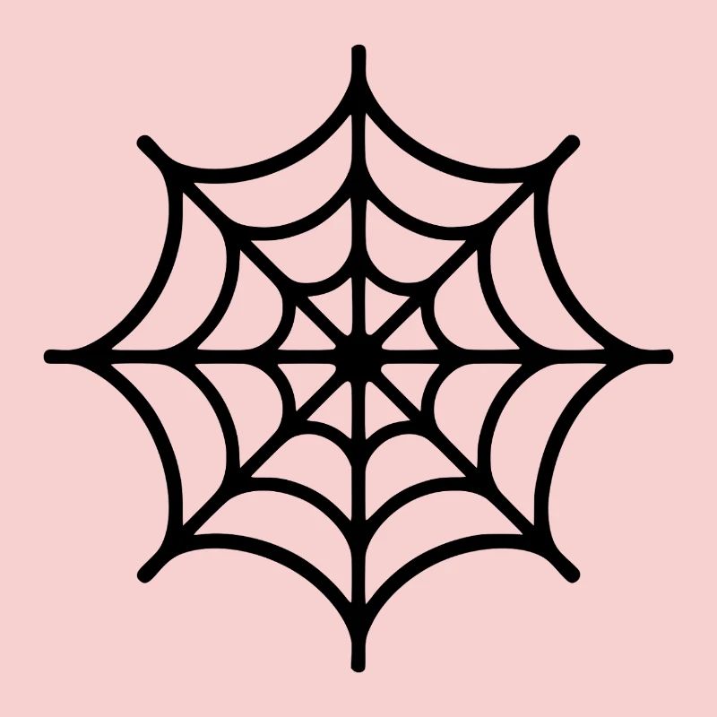 Spinnennetz Spinne