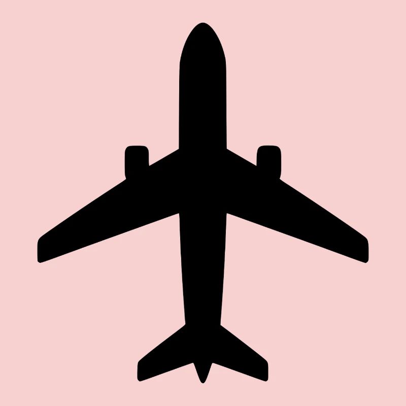 Flugzeug