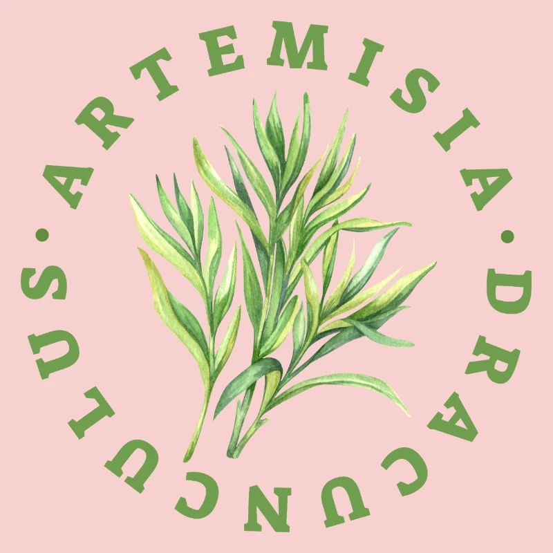 Artemisia Dracunculus Blattemblem