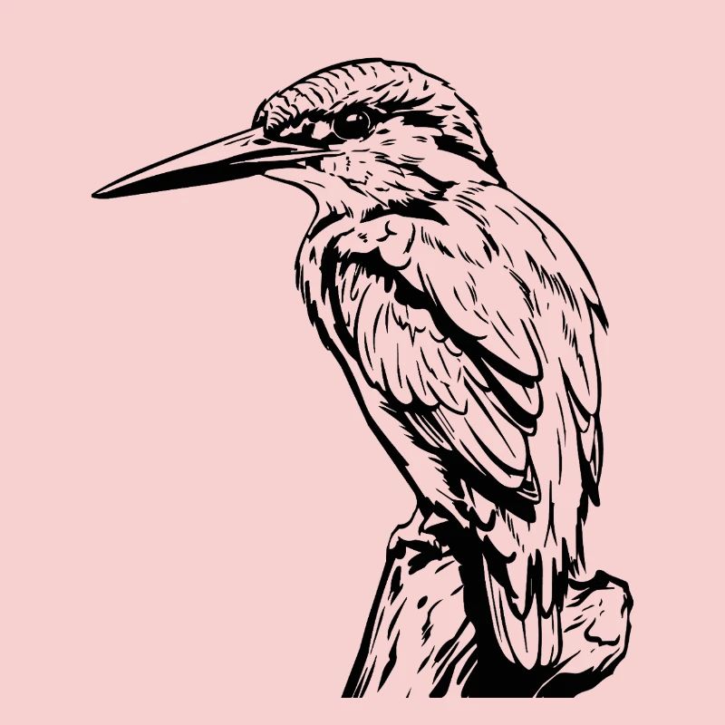 Specht / Eisvogel