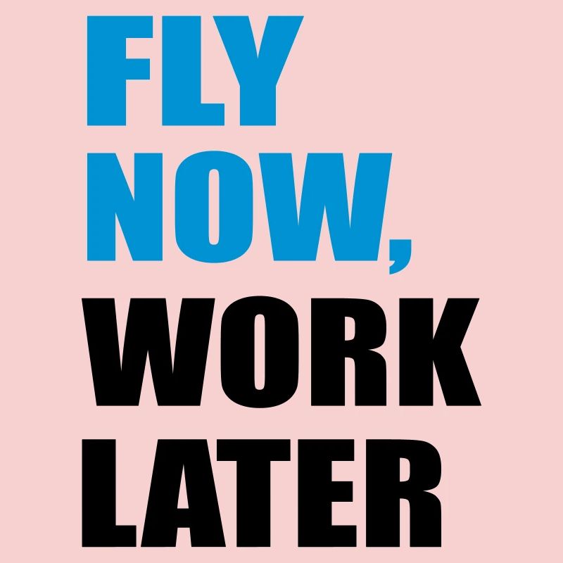 fly