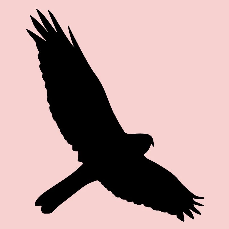 faucon