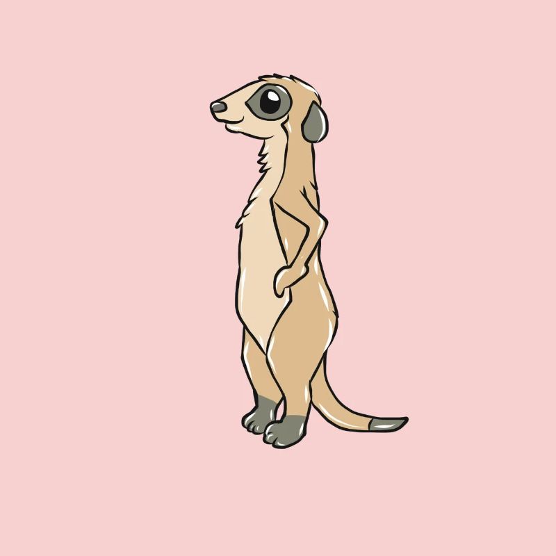 Erdmännchen