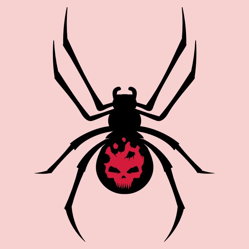 Une araignée noire avec le crâne rouge