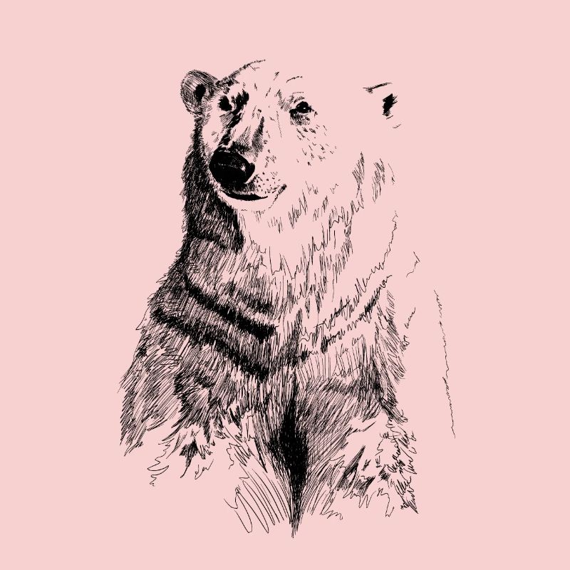 ours blanc