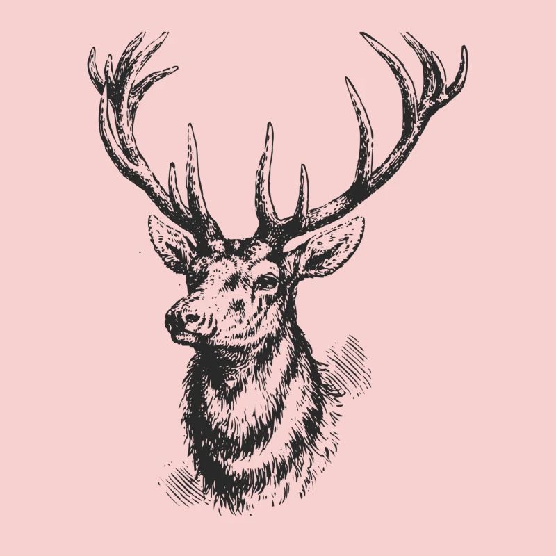 Hirsch - Design