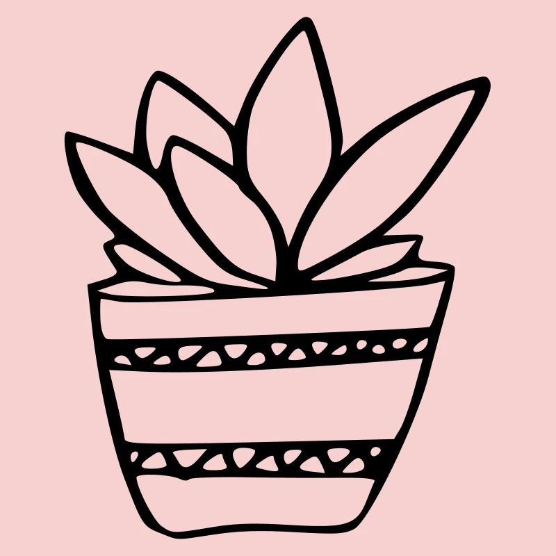 Plante