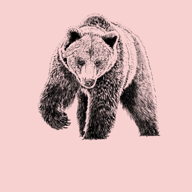 bear