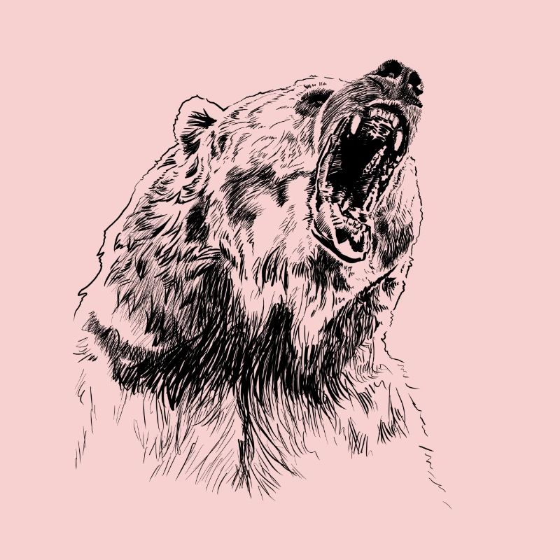 bear