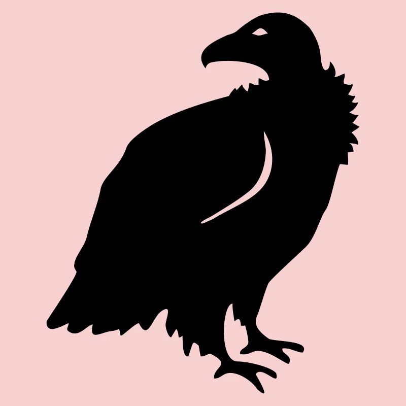 Vautour