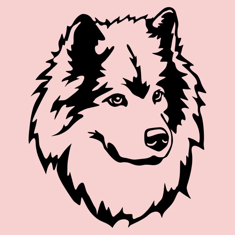 Eurasier Kopf